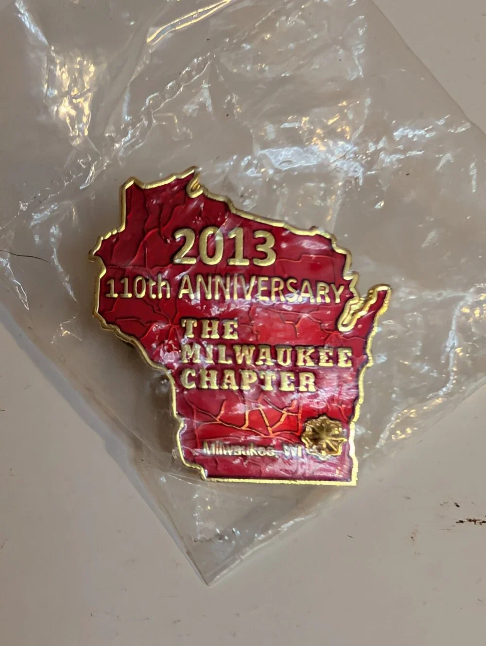 Harley-Davidson 2013 110th Anniversary Milwaukee Chapter Wisconsin Event Pin
